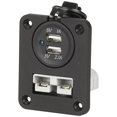 Mean Mother® 50Amp Anderson Style Connector & Dual USB Ports Panel